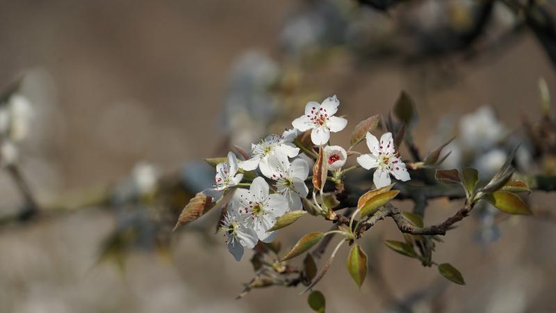 云南省文化和旅游厅