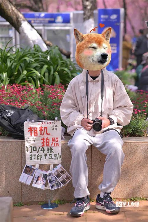 昆明信息港/cnkmxxg