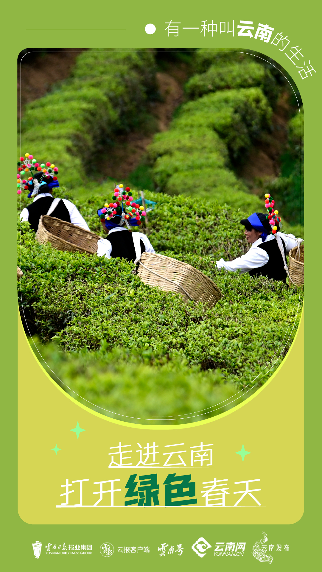 云南省文化和旅游厅