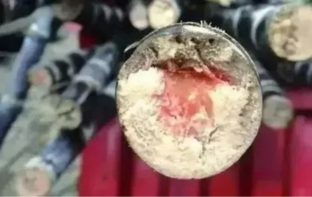 美丽云南微科普