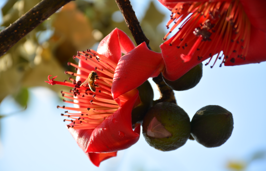 云南省文化和旅游厅