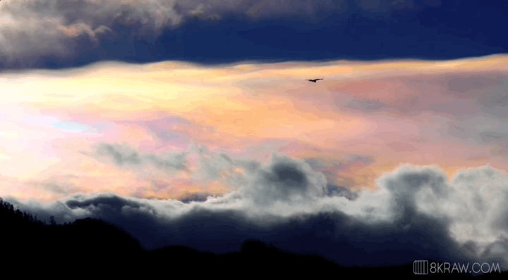 云南省文化和旅游厅