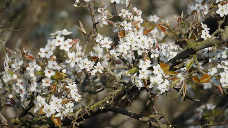 云南省文化和旅游厅