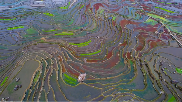 云南省文化和旅游厅