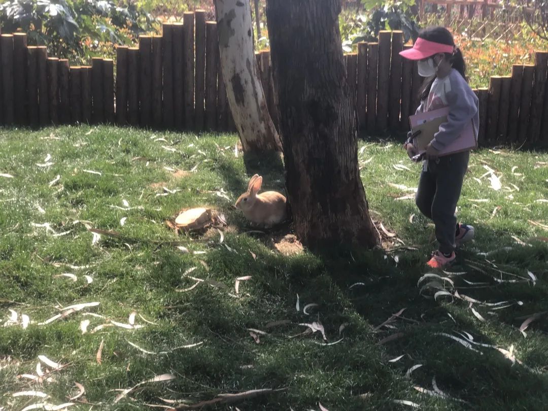 云南野生动物园