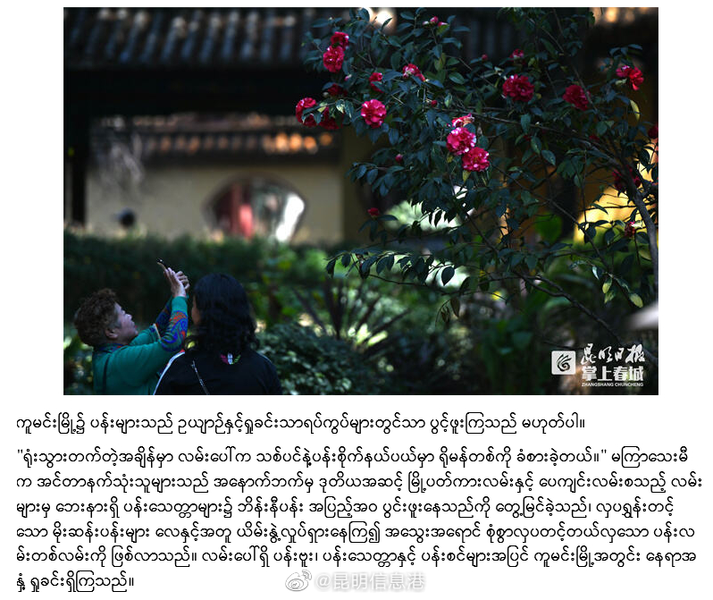 昆明信息港（微博）