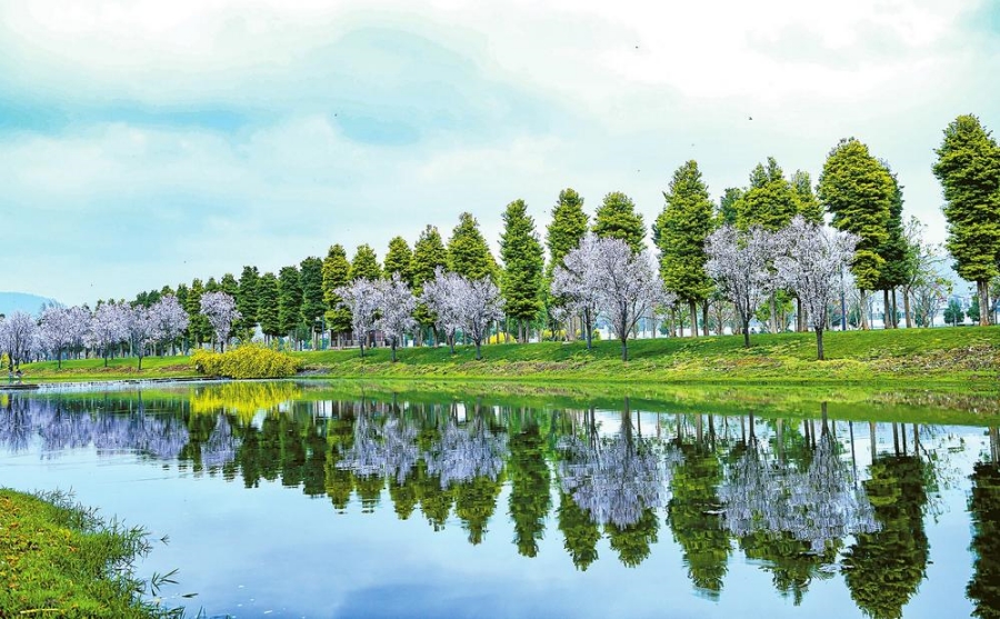 红河州弥勒市芬芳满城