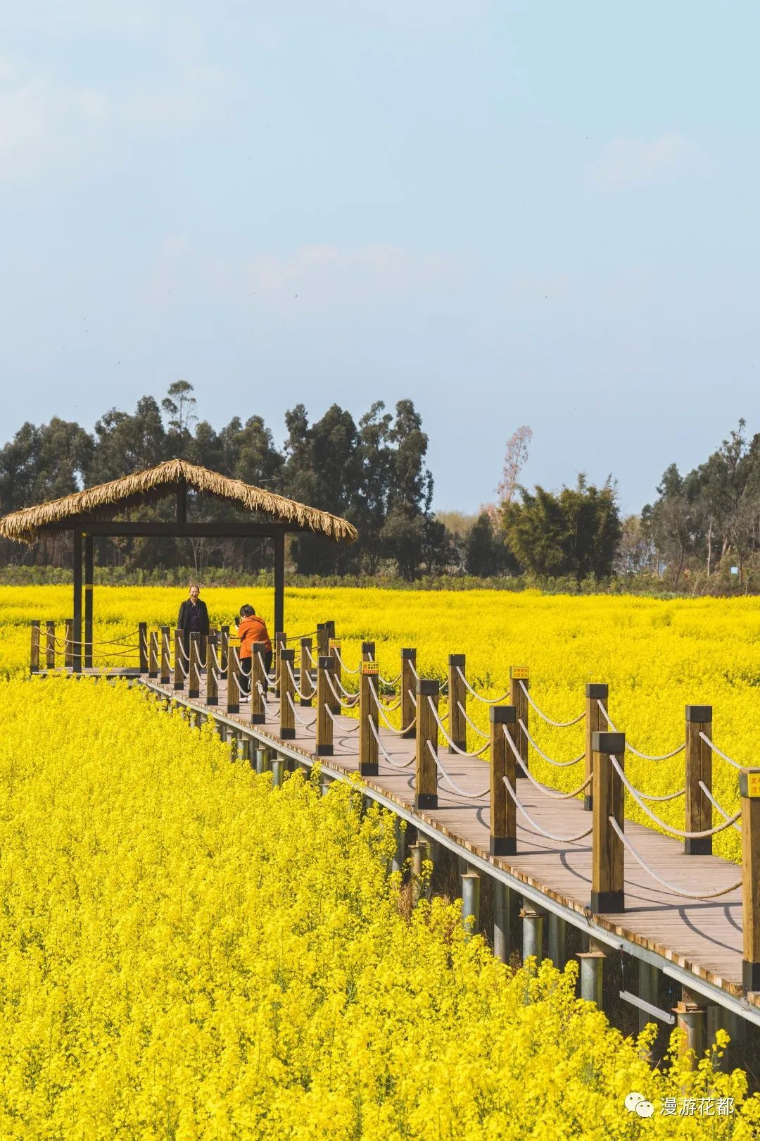 云南省文化和旅游厅