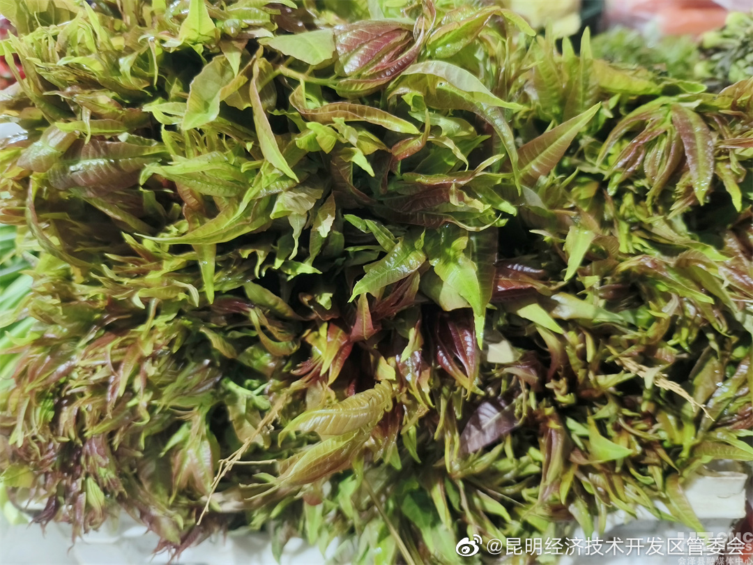 昆明经济技术开发区管委会