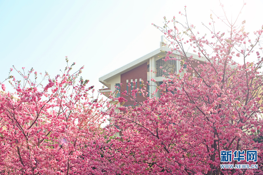 云南省文化和旅游厅