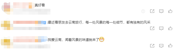 云南省文化和旅游厅