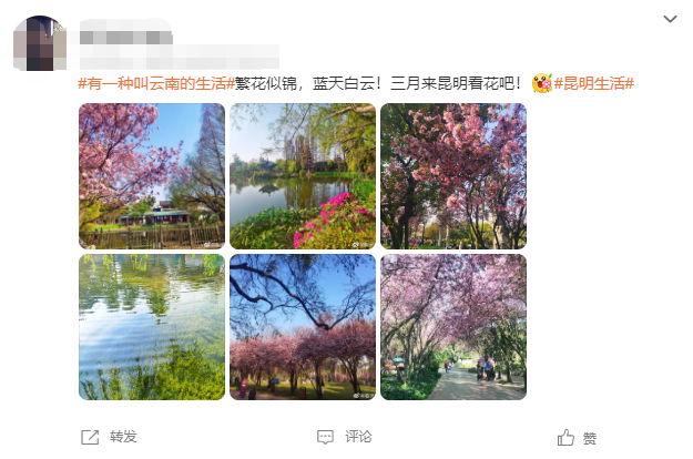 云南省文化和旅游厅