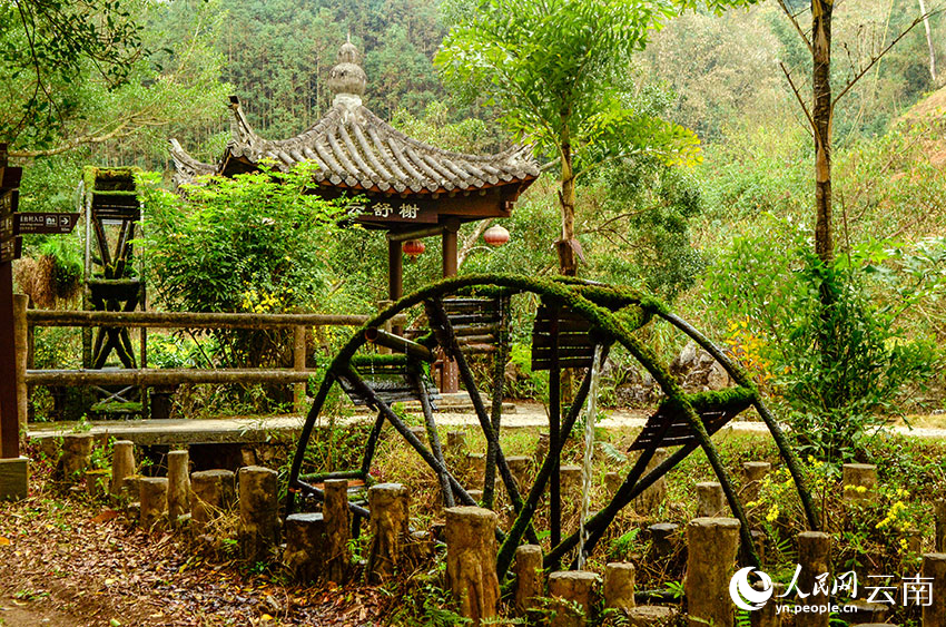 云南省文化和旅游厅