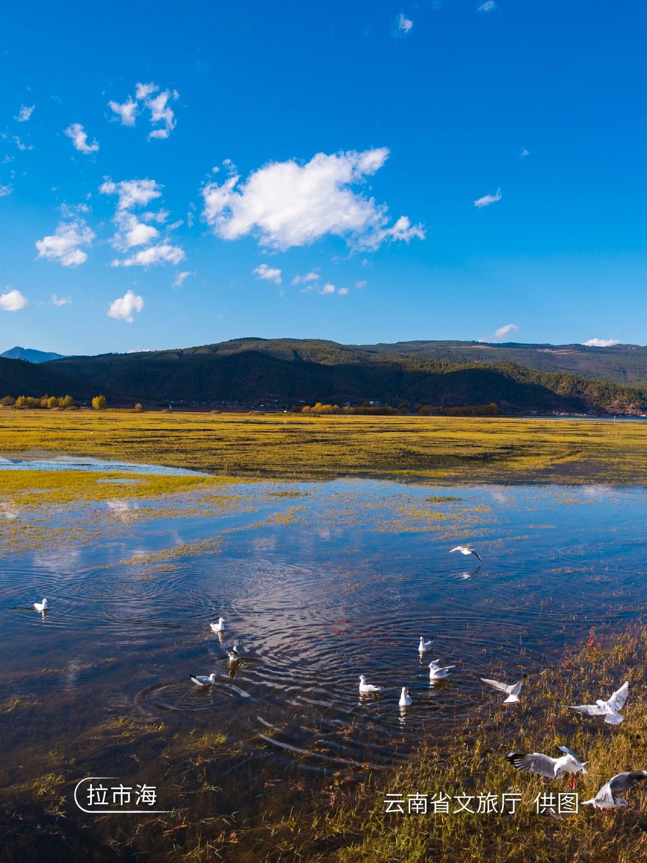 云南省文化和旅游厅