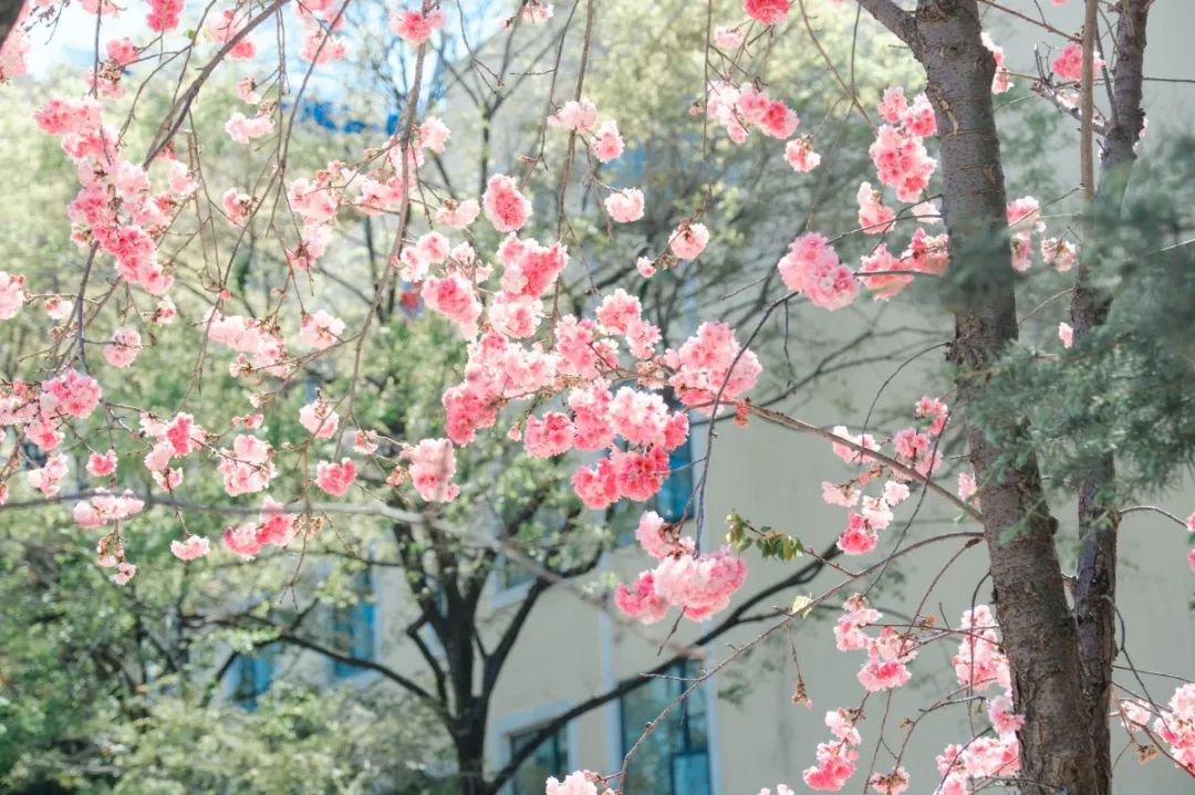 一部手机游云南