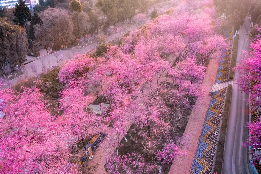 一部手机游云南