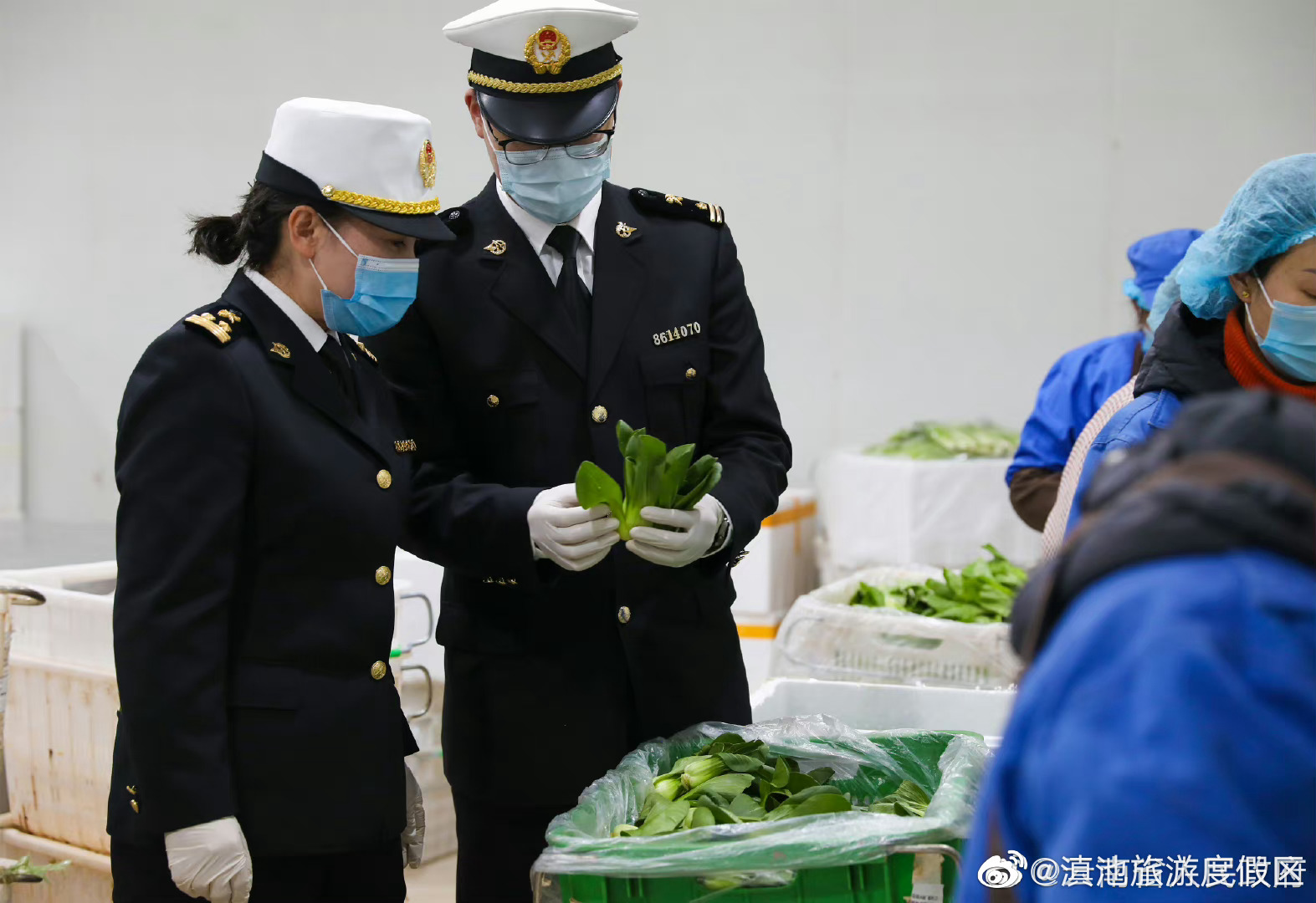 2023年前2月云菜出口量同比增长25.78%