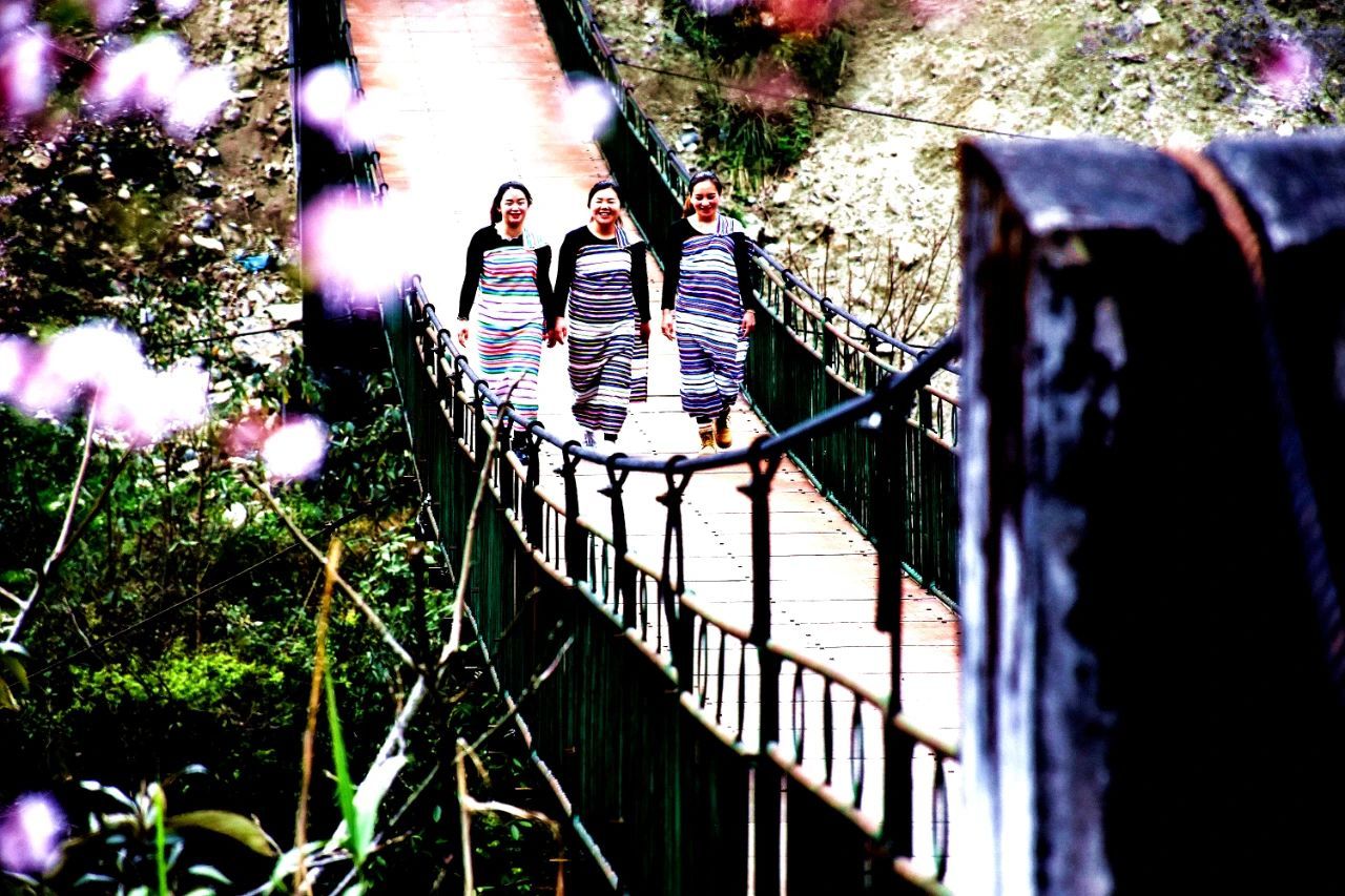 云南省文化和旅游厅