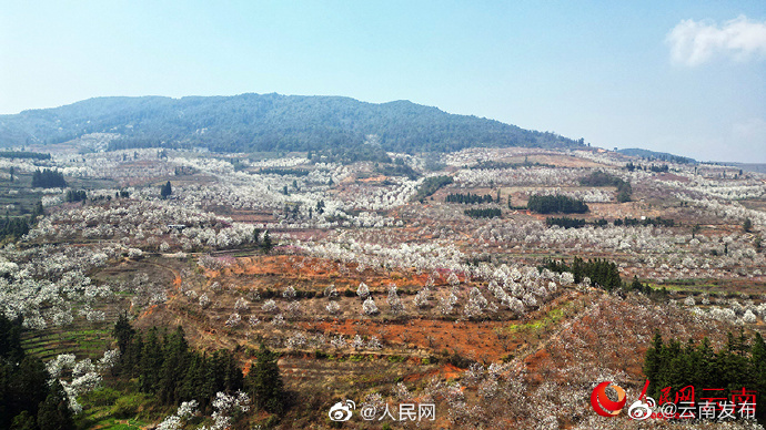 “云南发布”微博