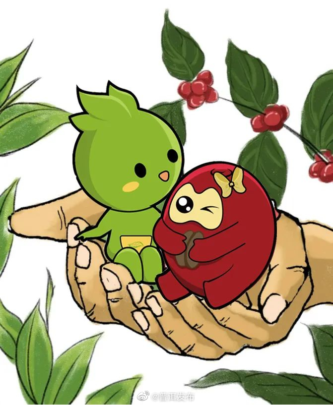 媒体智力成果助力产业发展→“普茶茶”“普豆豆”等32个商标注册成功