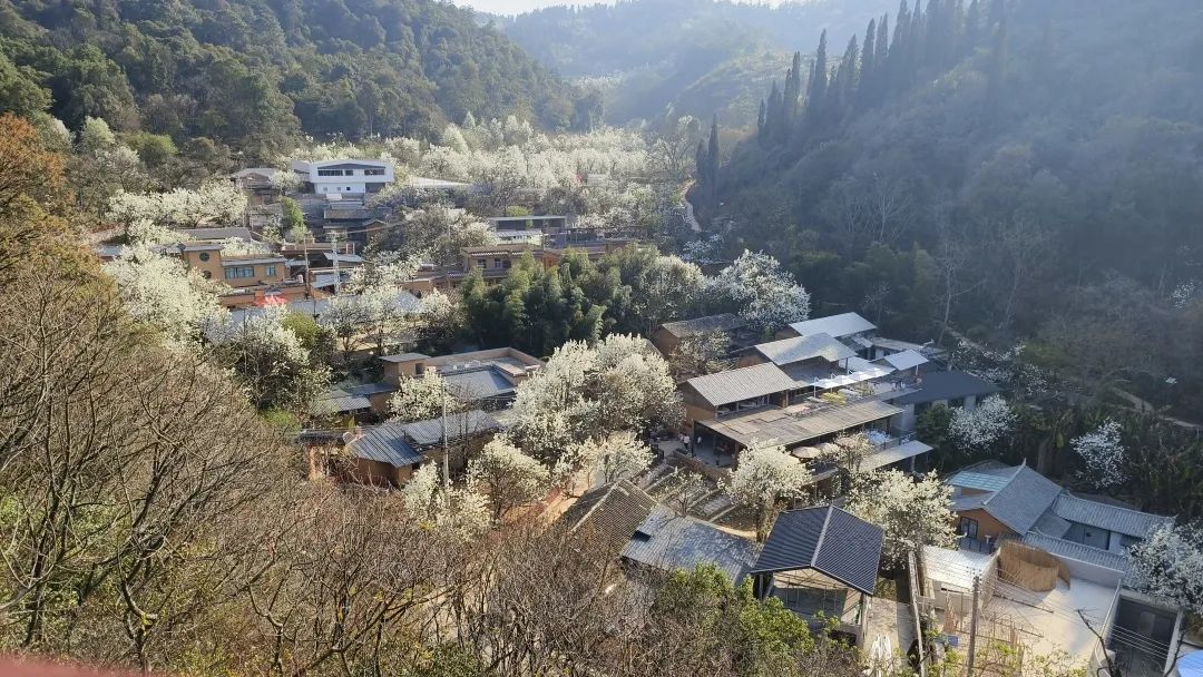 红河日报