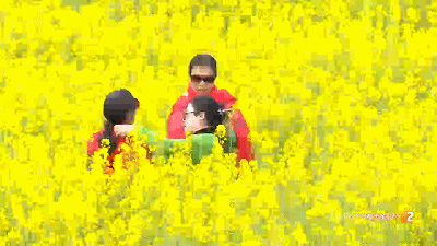 昆明信息港/cnkmxxg