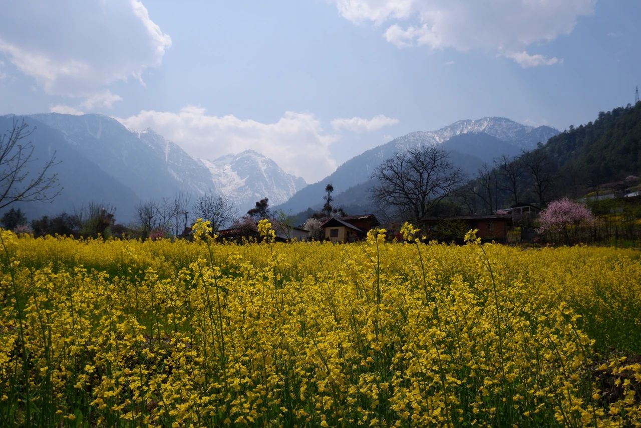 云南省文化和旅游厅