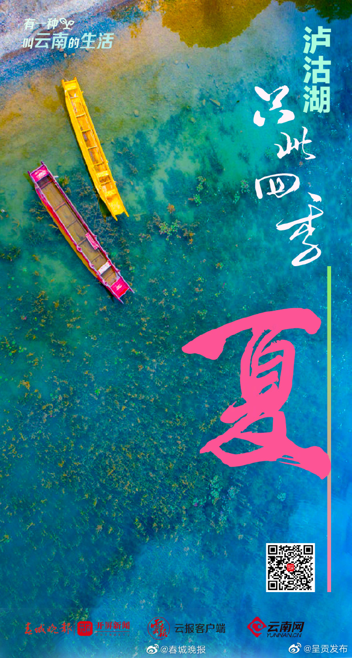 呈贡发布
