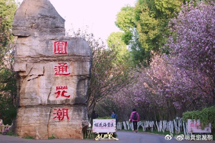 昆明晋宁发布