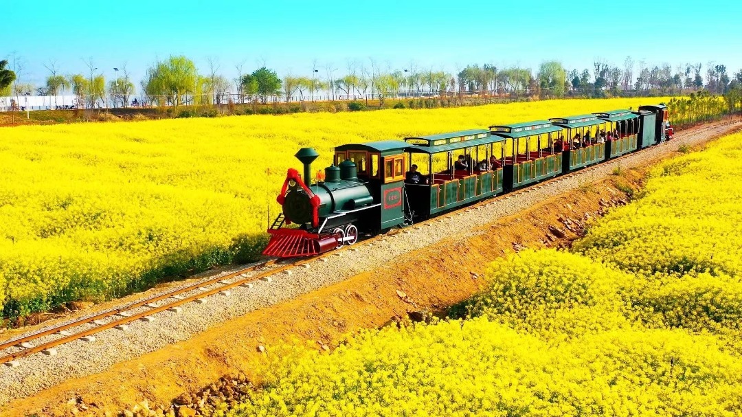 云南省文化和旅游厅