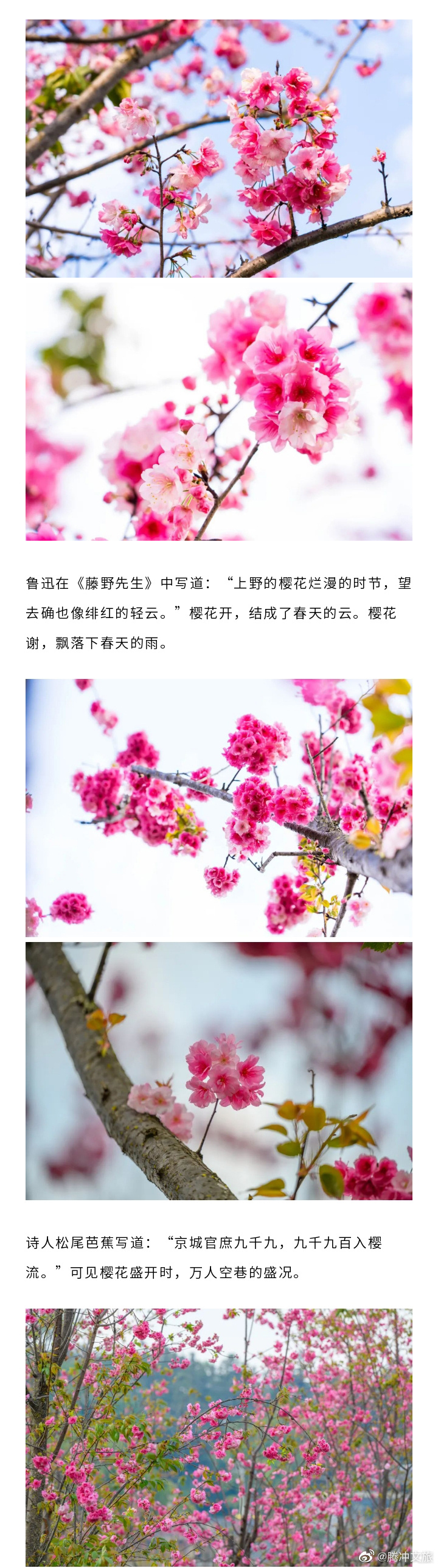 腾冲文旅微博