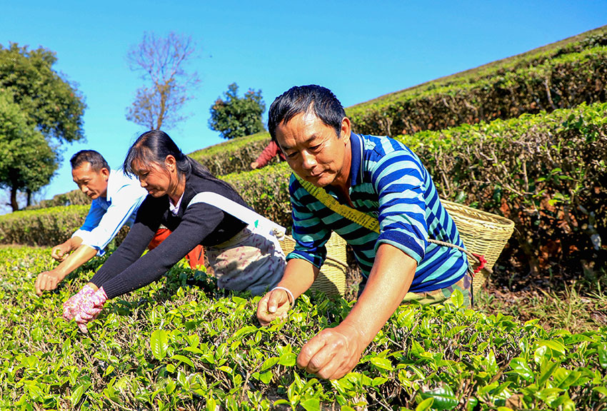 云南省文化和旅游厅