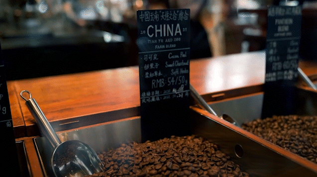 云南省文化和旅游厅