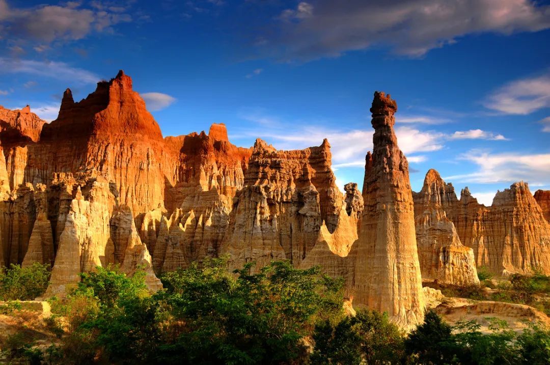 云南省文化和旅游厅