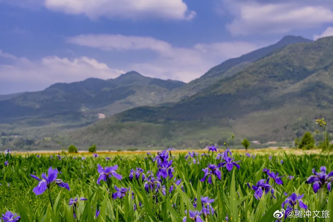 腾冲文旅微博