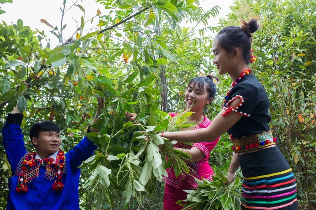 云南省文化和旅游厅