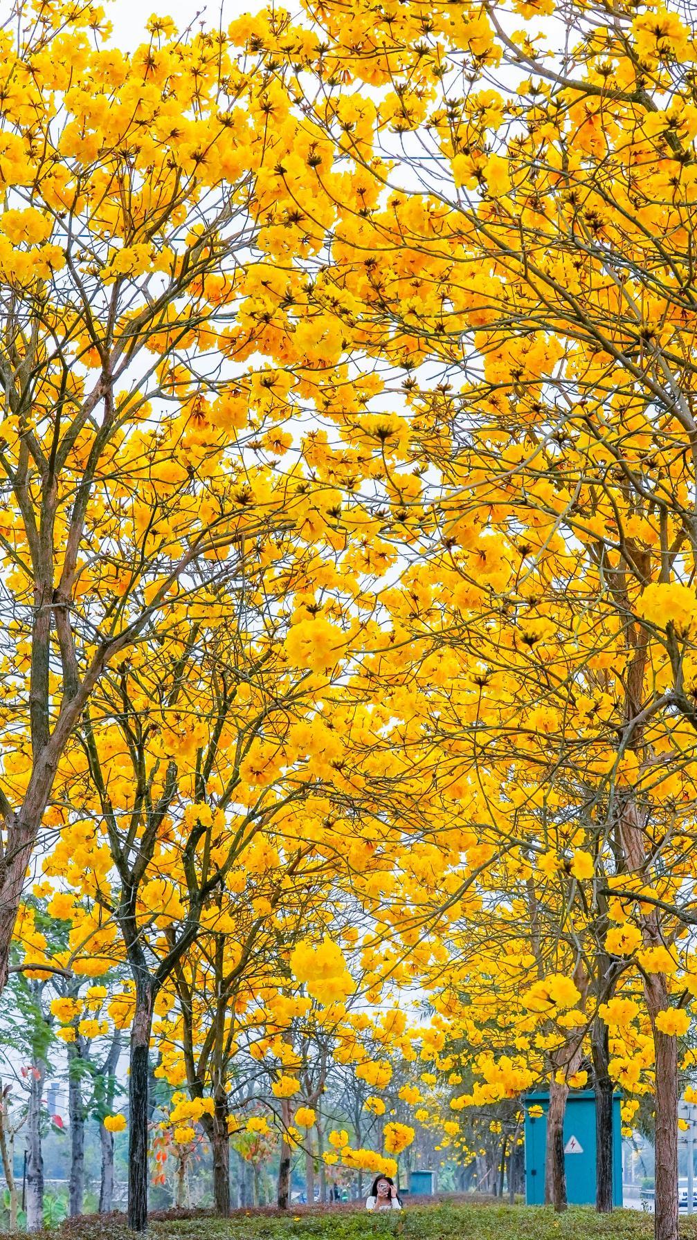 云南省文化和旅游厅