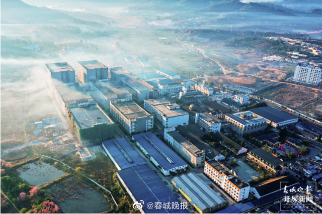 高质量发展看西双版纳 | 大益勐海茶厂：开拓创新、敢为人先，奋力跑出高质量发展加速度