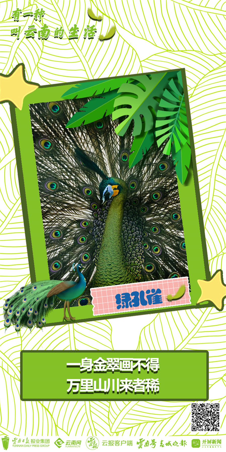 云南省文化和旅游厅