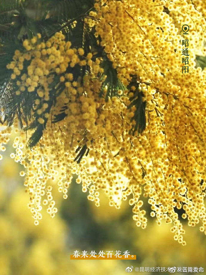 昆明经济技术开发区管委会