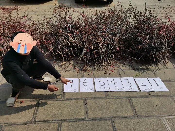 昆明信息港/cnkmxxg