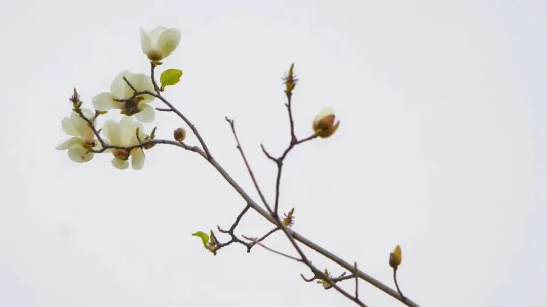 红河日报
