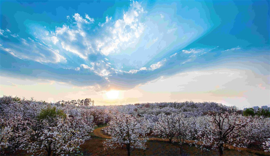 云南省文化和旅游厅