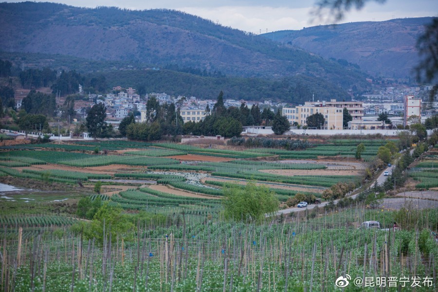 昆明晋宁发布