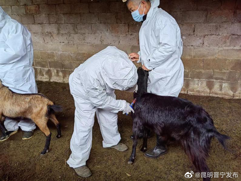 昆明晋宁发布