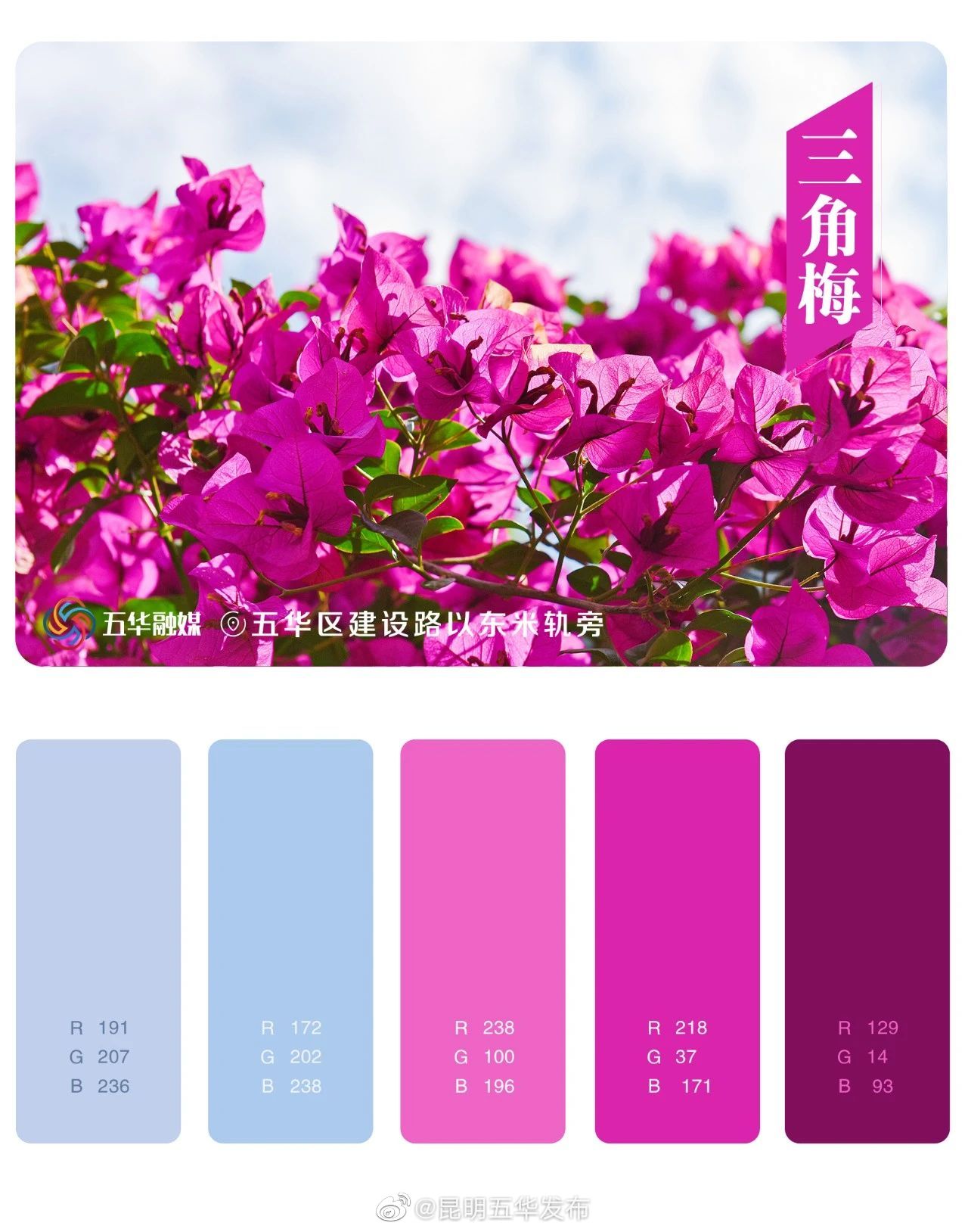 昆明五华发布