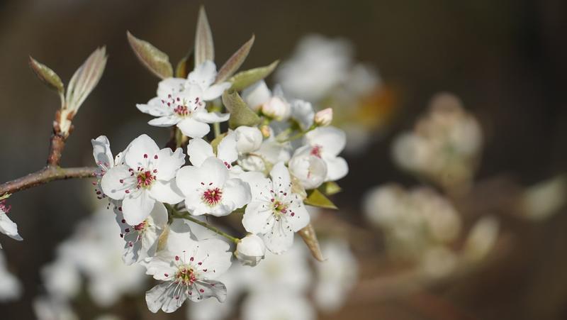 云南省文化和旅游厅