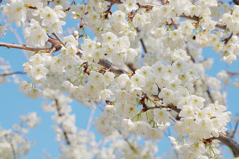 云南省文化和旅游厅