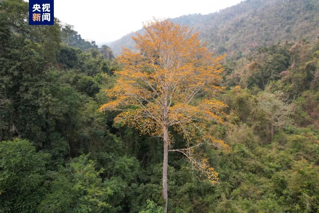 昆明信息港/cnkmxxg