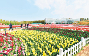 2022年8.4亿人次游云南